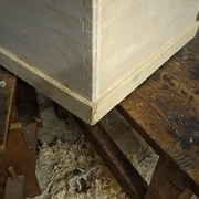 bizarre cette queue !