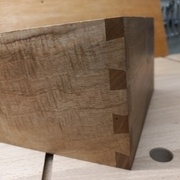 Queues presque réussies qq petits jours à peine perceptibles