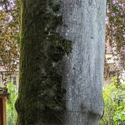 L'Air du Bois
