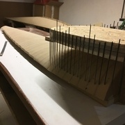 test de peigne pour developer ma courbe