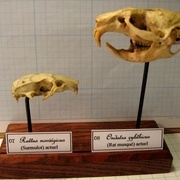 Une multitude de présentoirs portes étiquettes