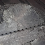 quelques belles piéces