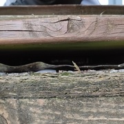 Photo 2 ( Composition éléments terrasse )