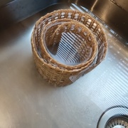 Trempé dans l'eau tiède 30 min