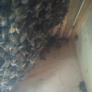 je viens de redonner de l'espace en rajoutant des lattes