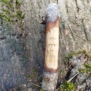 Woodspirit gardant son territoire