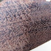 Saint Martin Rouge, à droite coup de ciseau