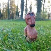 Mon cheval dans son élément: entouré d'herbes à manger !