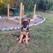 Mais que se passe-t-il ?