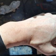 Main gauche, rasée par la main droite