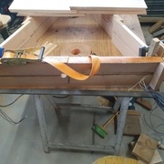 Assemblage du plus grand sapin