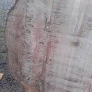 les traces sont le passage de la lame