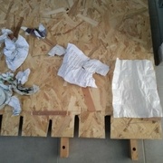 Une feuille rescapée du collage !!!