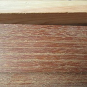 #2: dosse (autre face)