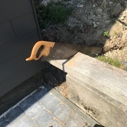 Découpe à longueur de la nouvelle base, un plaisir cette scie