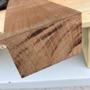 N°5 : densité 590, sciure très rouge, peut-être de l'iroko