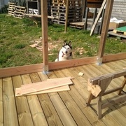 Encore ! Bon en même temps je suis en train de manger mon casse dalle !!!