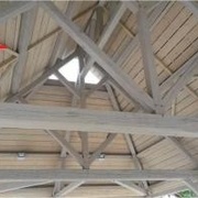 fig 1 Bracon ou écharpe