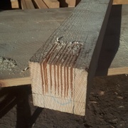 Je découvre le lent travail de découpe