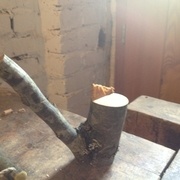 une autre branche semblable a la branche de départ