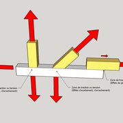 La traction ou tension