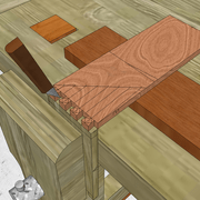 **4/** Tracé des queues femelles par superposition des queues mâles .