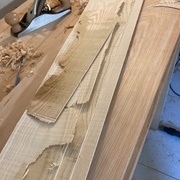 Les chutes de frêne