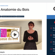 Cours sur l'anatomie du bois