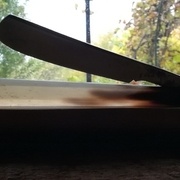 Dans la corne, comme dans l'écaille de tortue, les différences de teinte sont aussi des différences d'opacité. Les parties claires sont translucides, et celles sombres, opaques, produisant à contre-jour un joli contraste.