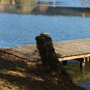 Le ponton (novembre 2020)