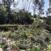 Ça devient vite le bordel ...