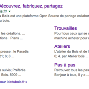 Résultat de recherche Google
