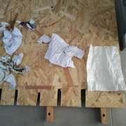 Une seule rescapée !