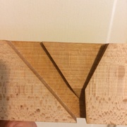 Vue en coupe de l'embouchure