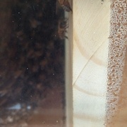 le séparateur, au matin : un coté chaud, un coté froid