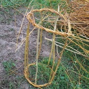 Mais que fait-il ? Il se met à la vannerie ?