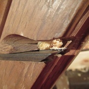 La lumière côté languette est bourrée...