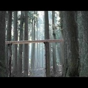 Xylophone géant