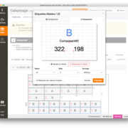Panneau de choix des champs et de leur disposition