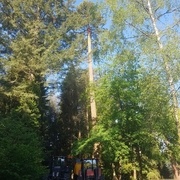 Le broyeur derrière le tracteur permet d'avaler jusqu'à 28cm de diamètre !