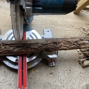 Le bois était bien pourri...