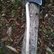 La tête de hache d'Adrien avec le manche que j'ai fait