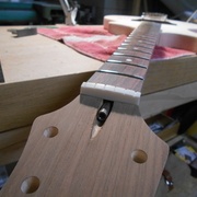 Ébauche du sillet de tête en os