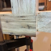 Oh il est bien vilain ce bois avec ses galeries... pourvue que les bestioles n'y soient plus.