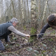 Peter et Pierre à la scie passe-partout.