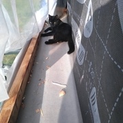 vraiment partout !!!