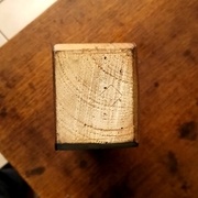 La "raquette" vue du bout. Côté plat à gauche, côté légèrement convexe à droite.