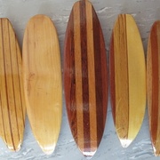 Châtaignier, Cognacier,  exotiques, mélange, hêtre + merisier