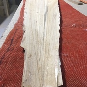 poupe avant taillage