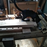 inspection des tenons !